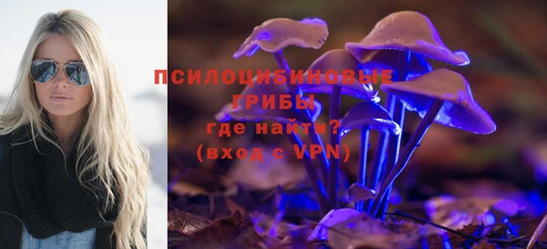 МДПВ Алексеевка