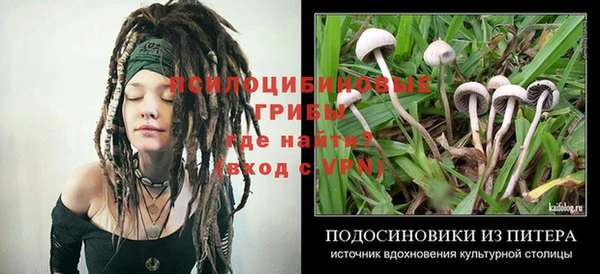 PSILOCYBIN Алексин