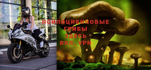 каннабис Алзамай