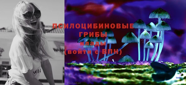 PSILOCYBIN Алексин